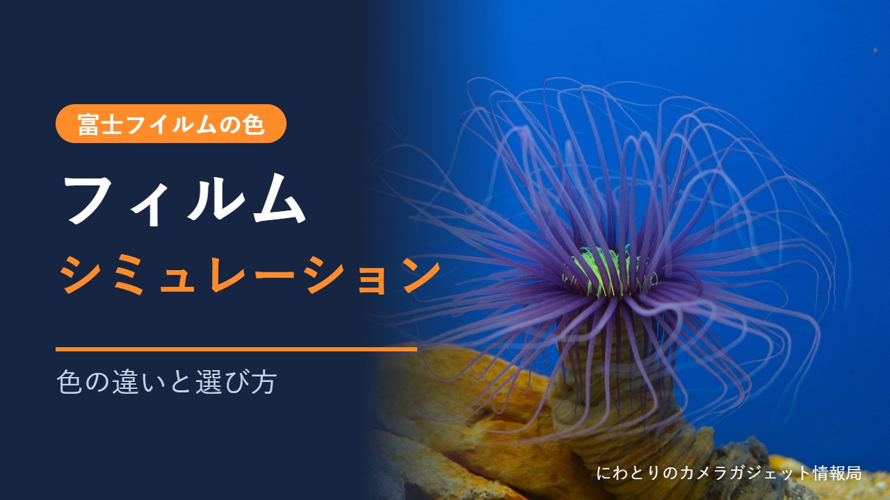フィルムシミュレーション 色の違いと選び方