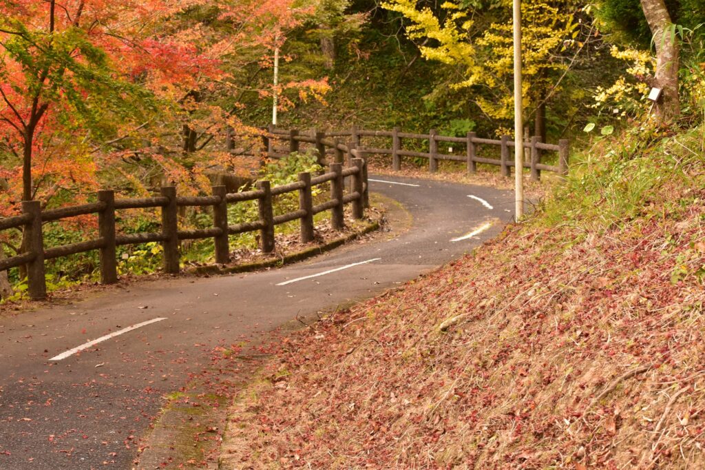 紅葉の中をカーブする道