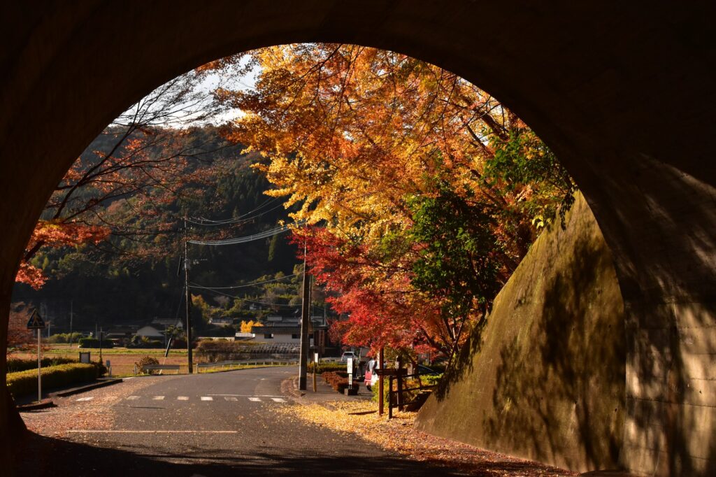 トンネルの中から見た紅葉