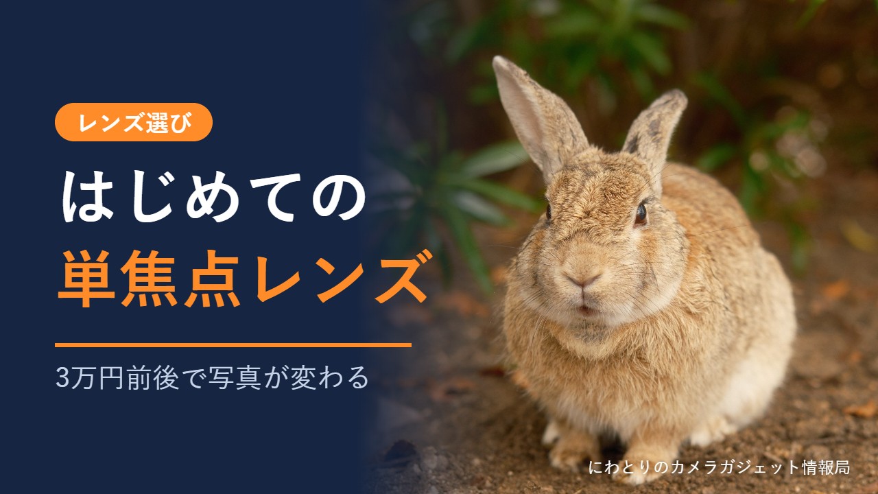 はじめての単焦点レンズ