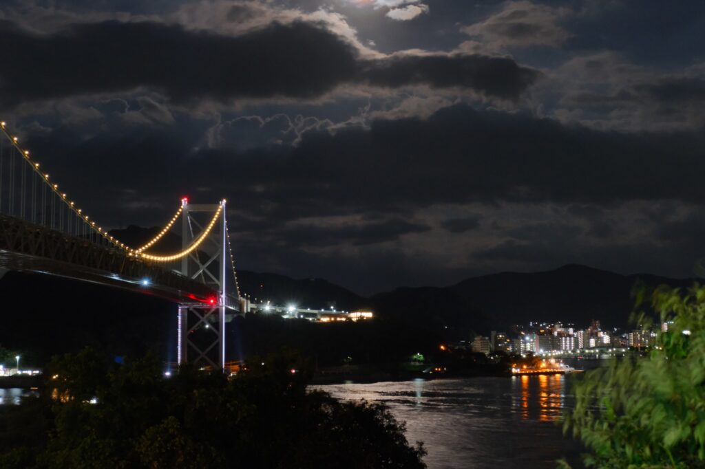 トリミング前の夜景。右手前に揺れた葉が写っている