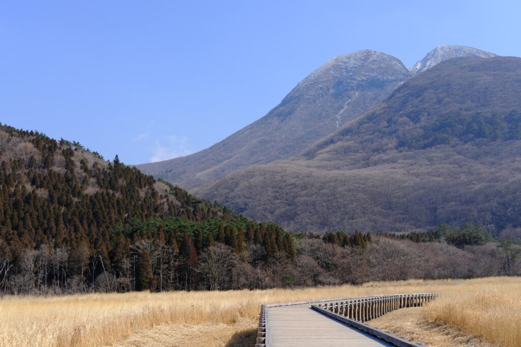 湿原の木道の奥に山が見える写真