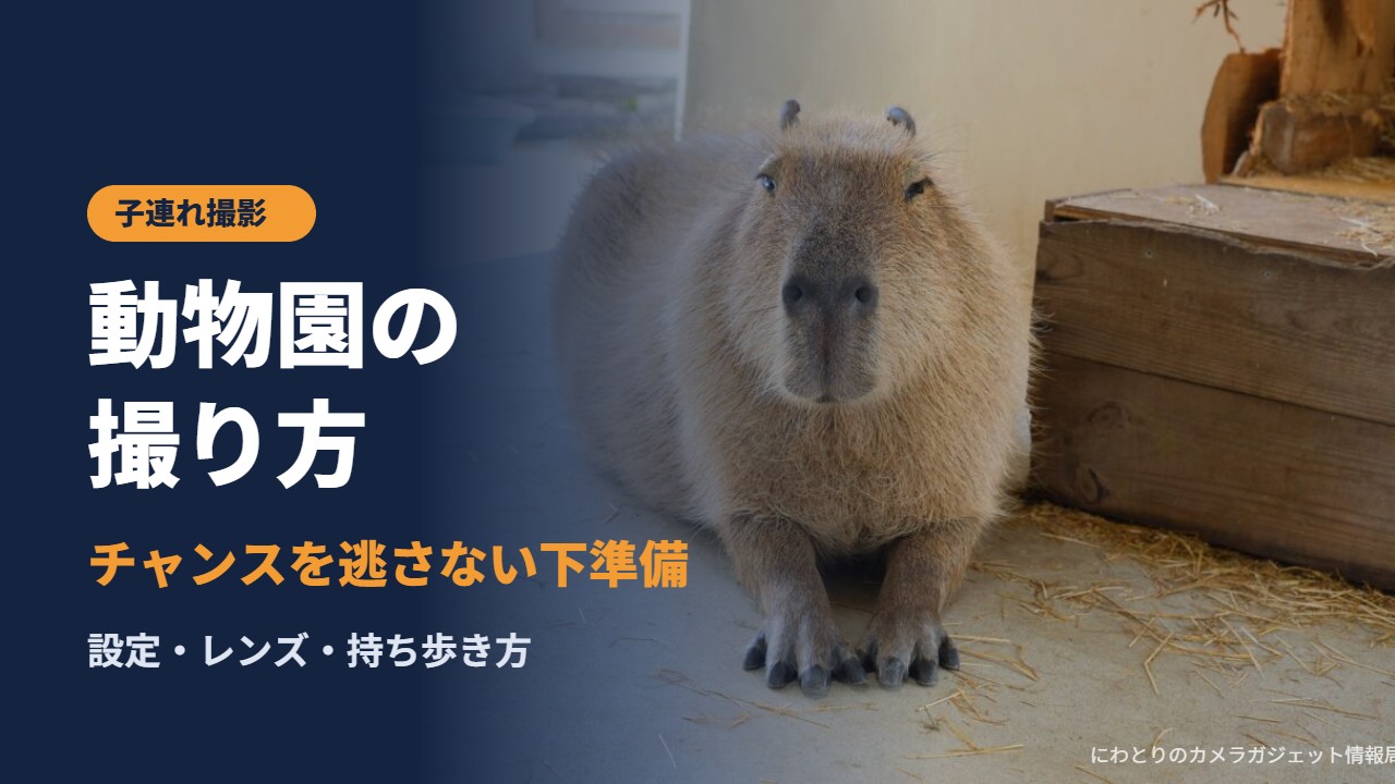 子連れで動物園に行くときの撮り方｜チャンスを逃さない下準備